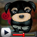 G4K Modest Puppy Escape Game Walkthrough