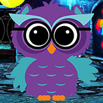 G4K Ruler Owl Escape Game