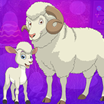 Sheep And Lamb Escape