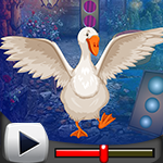 G4k Cob Bird Rescue Game Walkthrough