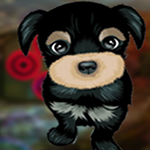 G4K Modest Puppy Escape Game