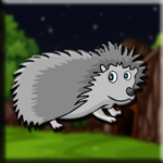 G2J Cute Porcupine Escape From Cage