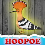 G2J The Hoopoe Rescue From Cage