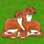 G2J Cute Weasel Family Escape