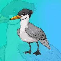 G2J Crested Tern Escape