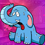 G4K Acridity Elephant Escape Game