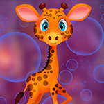 G4K Amusing Calf Giraffe Escape Game