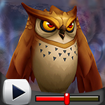 G4K Annoyed Brown Owl Escape Game Walkthrough