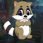 G4K Baby Raccoon Escape