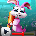 G4K Beautiful Lucky Rabbit Escape Game Walkthrough