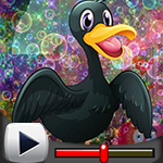 G4K Black Duck Escape Gam…