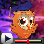 G4K Brave Owl Escape Game Walkthrough