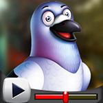 G4K Candid Pigeon Escape Game Walkthrough