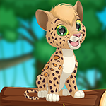G4K Cheerful Leopard Esca…