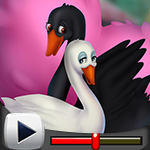 G4K Couple Swan Escape Ga…