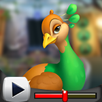 G4K Cute Calm Peacock Escape Game Walkthrough