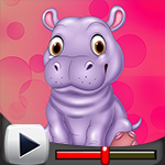 G4K Cute Hippopotamus Esc…