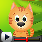 G4K Cute Tender Cat Escape Game Walkthrough