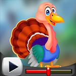 G4K Cute Turkey Escape Game Walkthrough