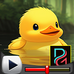 G4K Duck Toy Rescue Game …