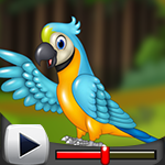 G4K Ecstasy Parrot Escape Game Walkthrough