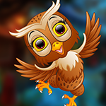 G4K Ecstatic Owl Escape