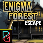 G4K Enigma Forest Escape …