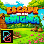G4K Escape From Enigma Ga…