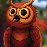 G4K Fantastic Owl Escape …