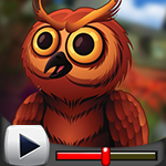 G4K Fantastic Owl Escape Game Walkthrough