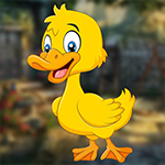 G4K Funny Duck Escape Gam…