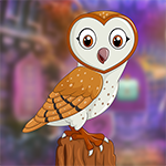 G4K Genial Barn Owl Escap…