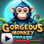 G4K Gorgeous Monkey Escape Game Walkthrough