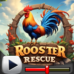 G4K Great Rooster Rescue …