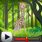 G4K Happy Giraffe Escape Game Walkthrough