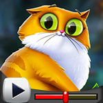 G4K Honest Cat Escape Game Walkthrough