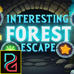 G4K Interesting forest Escape Game