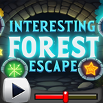 G4K Interesting forest Escape Game Walkthrough