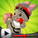G4K Karate Bunny Escape Game Walkthrough