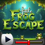 G4K Little Frog Escape Game Walkthrough
