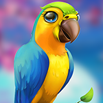 G4K Little Parrot Escape Game