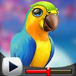 G4K Little Parrot Escape …