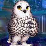 G4K Lovely Owl Escape Game