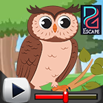 G4K Owl Rescue Game Walkt…