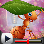 G4K Persist Ant Escape Game Walkthrough