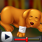 G4K Placid Dog Escape Game Walkthrough