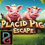 G4K Placid Pig Escape Gam…