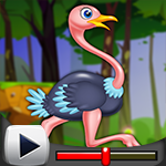 G4K Playful Ostrich Escap…