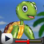 G4K Playful Tortoise Esca…