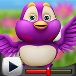 G4K Pretty Pink Bird Escape Game Walkthrough